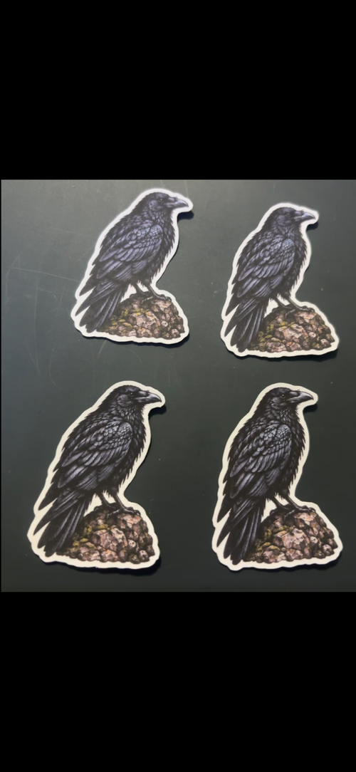 Crows